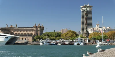 Barcelona het vergiftigde Middellandse Zee klein gevlekte kattenhaai heeft hoge kwikwaarden