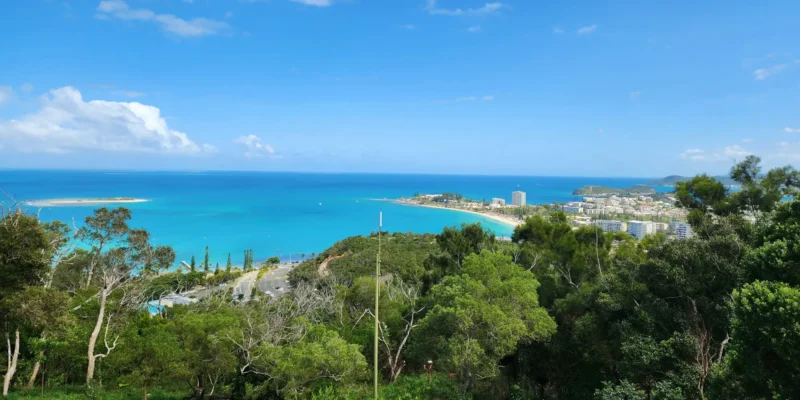 Strand met palmbomen in Nouméa, Nieuw-Caledonië