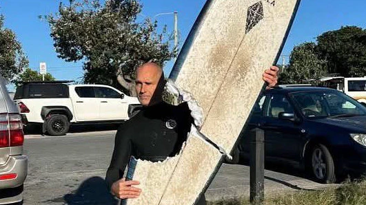 Haaienaanval op Cabarita Beach Australië