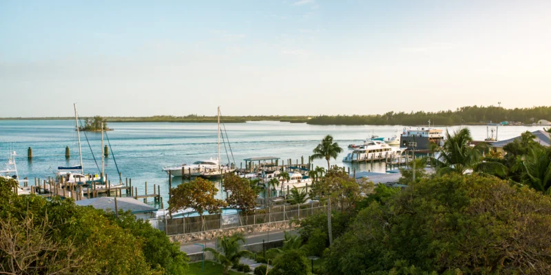 Kleine haven op Bimini met zeilboten, motorboten, kust en zee