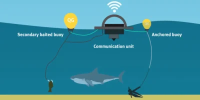 Schema van een drumline met aasboei, communicatie-eenheid, ankerboei en haai