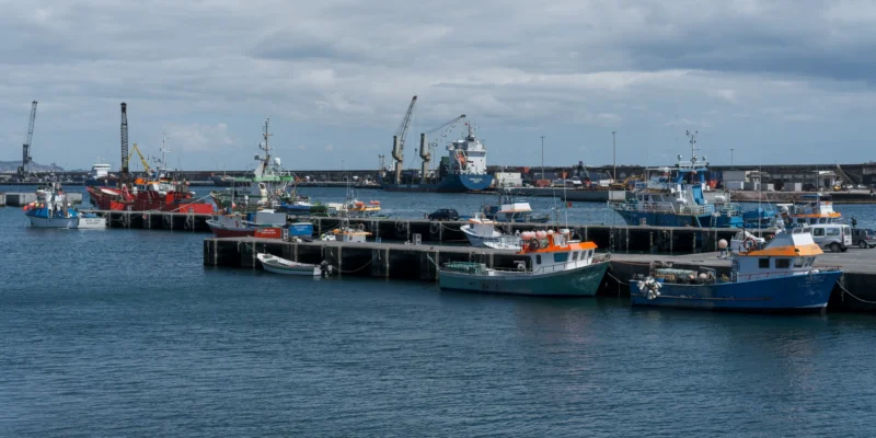 Vissersboten aan de steigers in de haven van Ponta Delgada op São Miguel, Azoren
