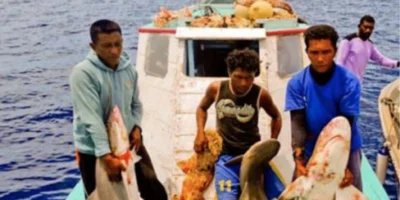 Vissers met gevangen haaien op een boot in Indonesische wateren