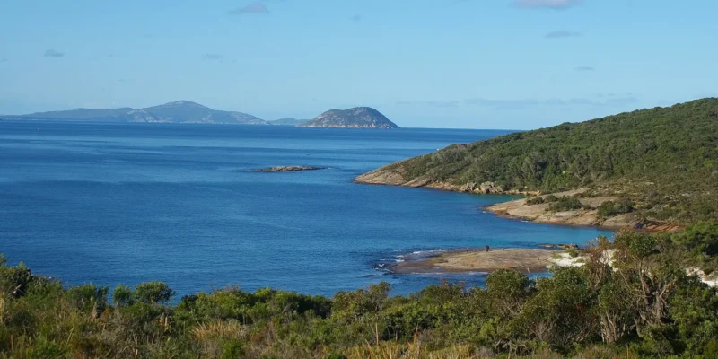 Haaienaanval bij Michaelmas Island, Australië