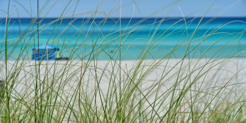 Uitzicht op strand en zee bij Panama City door gras