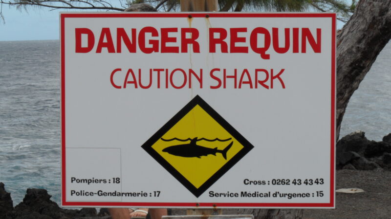 Waarschuwingsbord voor haaien aan de kust van Réunion