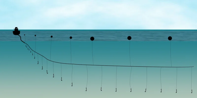 Schema van een beuglijn met hoofdlijn, zijlijnen en beaasde haken