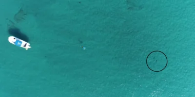 Dronebeeld van de proefopstelling voor de kust van Florida, met een boot, een onderwaterluidspreker en een haai in een zwarte cirkel.