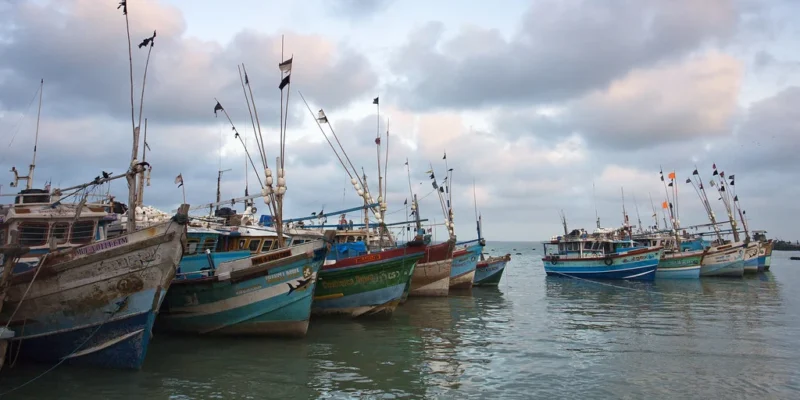 Kleurrijke vissersboten op het water bij Kalpitiya in Sri Lanka